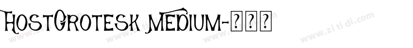 HostGrotesk Medium字体转换